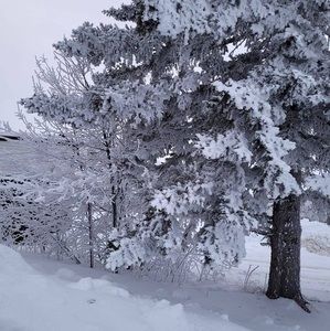 Meet your Posher, Člairè